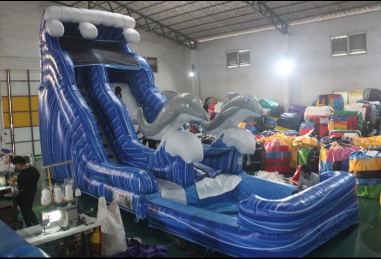 18' Dolphin Slide