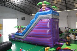 Tropical20Purple202 1643048347 18' Purple Tropical Slide